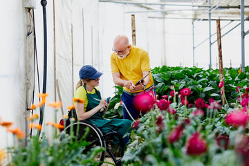 Supervisor Explaining Disabled Gardener At Greenhouse