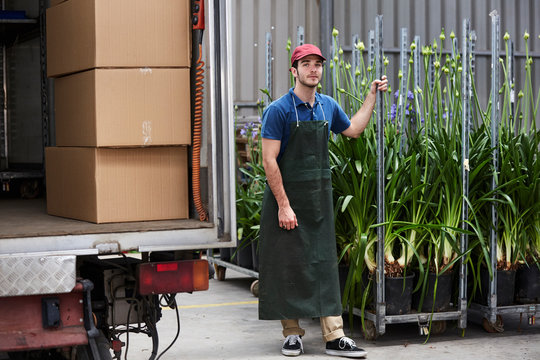 Worker Standing By Allium Plant Trolley At Greenhouse