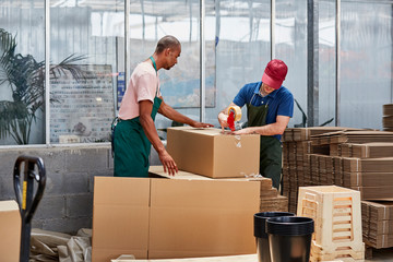 Workers Packing Cardboard Box In Greenhouse