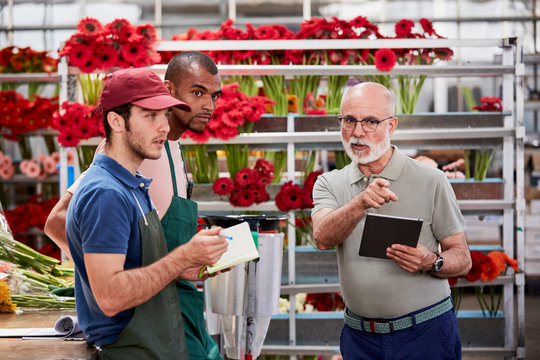 Supervisor Discussing With Florists In Greenhouse