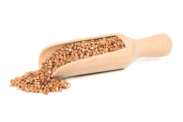 Buckwheat in scoop