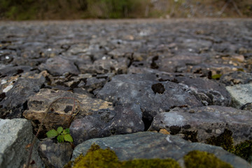 Old stone road