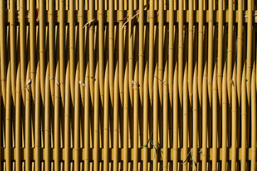 Bamboo wall or Bamboo fence texture background, Japanese style.