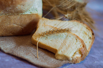 Baked homemade bread stands on a burlap in rustic style