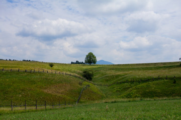 Fototapeta na wymiar Landscape with meadow in the mountains, spring fields with green grass and mountains on background 
