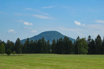 Fototapeta na wymiar Landscape in mountains in Czech Switzerland national park, pine forest and rocks 