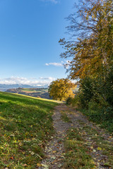 Naklejka premium Wanderweg entlang eines Feldes mit Blick auf die Schweizer Alpen
