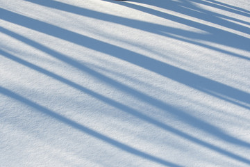 Fototapeta na wymiar Background picture of blue shadows of trees on white pure snow