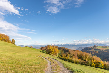 Fototapeta na wymiar Wanderweg entlang eines Feldes mit Blick auf die Schweizer Alpen