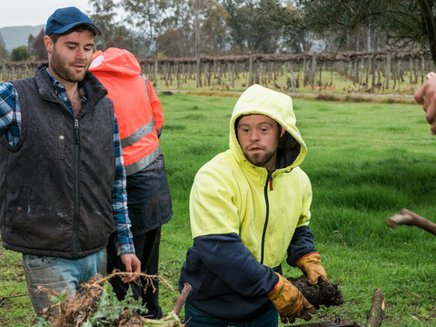 Crew of Men Work on Farm