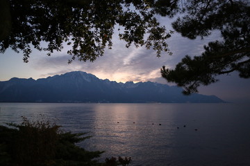 fotos