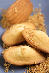 madeleine, pâtisserie