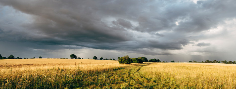 Clouds and rain over a sunlit field. Norfolk, UK.