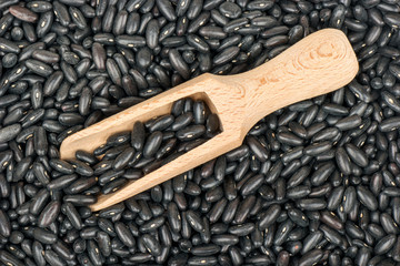 Raw black beans