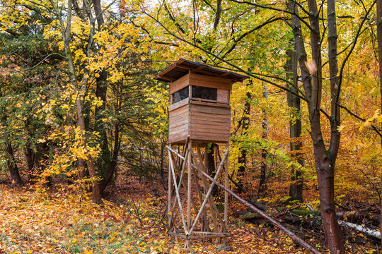 Raised blind in a forest for hunting.