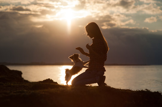 silhouette of young woman training chihuahua small dog on sea sunset background