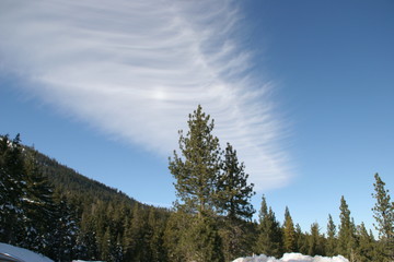 A wave of clouds in a winter sky