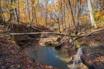 Fototapeta na wymiar Waterfall in the fall forest 