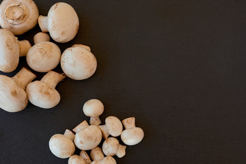 Champignon mushrooms on a black background