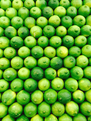Limes in rows