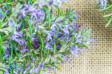 Bouquet of rosemary on burlap background with copy space