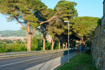 Beautiful road and nature in Izola in Slovenia