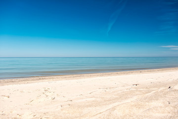 Fototapeta na wymiar Sunny coast of Baltic sea