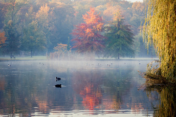 Scenic view of Stromovka park in Prague, Czech Republic. Colorful leaves on trees and birds...