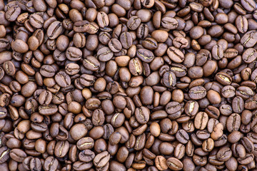 Coffee grains in the bottom of the image on a gently light background