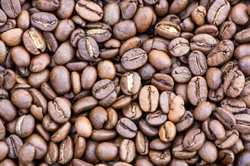 Coffee grains in the bottom of the image on a gently light background
