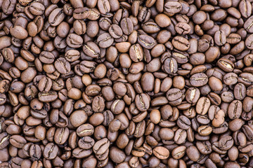 Coffee grains in the bottom of the image on a gently light background