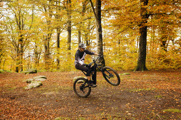 MTB boy in the beech forest, lifting the bicycle on a single wheel.