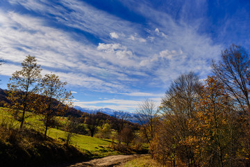 Fototapeta premium Beautiful forest landscape with amazing clouds, Armenia