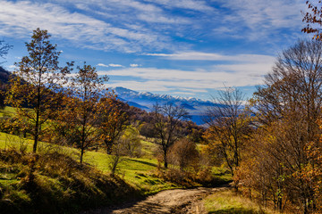 Beautiful forest landscape with amazing clouds, Armenia