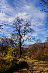 Fototapeta na wymiar Beautiful forest landscape with amazing clouds, Armenia