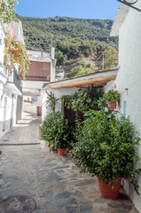 Fototapeta na wymiar Street in the town of Pampaneira in Granada