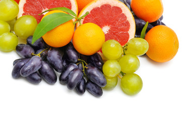 Set of fruits isolated on white background. Free space for text.