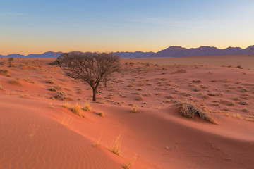 Red sand dune in the desert