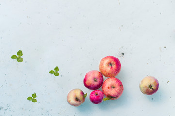 Harvest. Red overripe apples in water