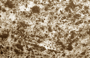 Obraz premium Part of old ceramic plate close-up in brown tone.