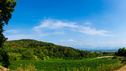 Obraz premium Germany, Kaiserstuhl XXL panorama of famous german wine production region