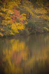 Autumn leaves reflecting on the water
