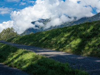 Herbst am Alpenrhein