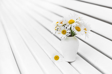 White chamomiles in white vase on white wooden background in summer