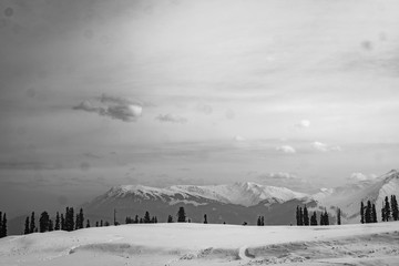 Snow Capped Mountains in Gulmarg