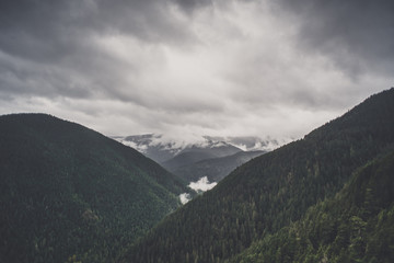 Hurricane Ridge Olympic National Park