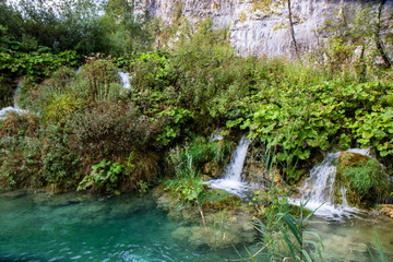stunning waterfalls hidden in the green