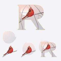 Illustrated capital letter R in winter theme with red cardinal bird standing on a branch