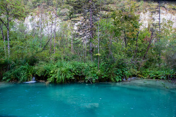 The greenery at the blue lake