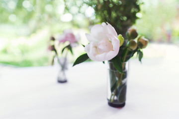 Flowers. Beautiful pale pink peonies in the garden in a vase on the table on a summer day.